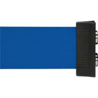 Wall Mount Barrier with Magnetic Tape, Steel, Screw Mount, 7', Blue Tape SGR025 | Nassau Supply