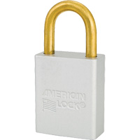 Cadenas de s&eacute;curit&eacute; American Lock, Transparent, Cl&eacute;s identiques, Aluminium, Largeur de 1-1/2" Nassau Supply