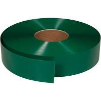 Ruban de marquage tr&egrave;s r&eacute;sistant pour plancher ArmorStripe, 2" x 100', PVC, Vert Nassau Supply