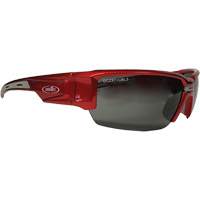 Lunettes de s&eacute;curit&eacute; Hartley, Lentille Gris, Polaris&eacute;, R&eacute;pond ou surpasse la norme CSA Z94.3 Nassau Supply