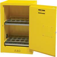 Flammable Aerosol Storage Cabinet, 12 gal., 1 Door, 23" W x 35" H x 18" D SGX675 | Nassau Supply