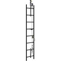 20' Lad-Saf Cable Vertical Safety System, Galvanized Steel Nassau Supply