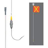 All-Weather Super-Duty Warning Whips with Constant LED Light, Spring Mount, 5' High, Orange with Reflective X SGY857 | Nassau Supply
