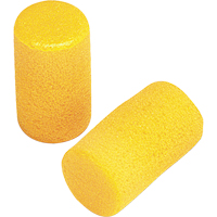 Bouchons d'oreilles Classic E-A-R, Paire - ensemble coussins, Grand Nassau Supply