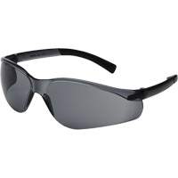 X300 Safety Glasses, Smoke Lens, Anti-Scratch, ANSI Z87+/Meets/Exceeds CSA Z94.3 Nassau Supply