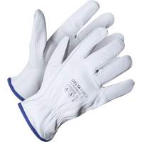 Gant de chauffeur Delta Force, 9/Grand, Paume en Cuir fleur de ch&egrave;vre, Kevlar Nassau Supply