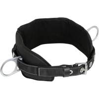 WB-6020-S Dispositif de retenue de s&eacute;curit&eacute; avec ceinture &agrave; deux anneaux en D et support lombaire rembourr&eacute; - Petit Nassau Supply