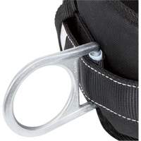WB-6020-S Dispositif de retenue de s&eacute;curit&eacute; avec ceinture &agrave; deux anneaux en D et support lombaire rembourr&eacute; - Petit Nassau Supply