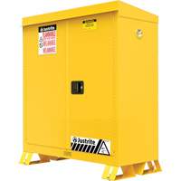 Armoire ext&eacute;rieure pour produits inflammables, 30 gal., 2 Porte(s), 43" La x 44" h x 18" p Nassau Supply