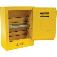 Armoire de s&eacute;curit&eacute; miniature pour produits inflammables, 2 gal., 1 Porte(s), 17" La x 22" h x 8" p Nassau Supply