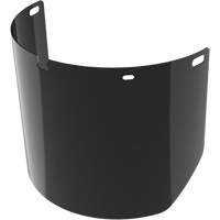 Lentille de rechange pour visi&egrave;re compl&egrave;te sans rev&ecirc;tement, Polycarbonate, Teinte 5,0 Nassau Supply