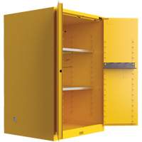 Armoire de s&eacute;curit&eacute; pour produits inflammables Utili-Guard+, 45 gal., 2 Porte(s), 43" La x 65" h x 22" p Nassau Supply