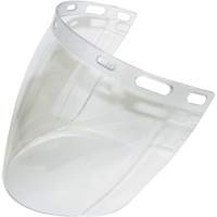 Visi&egrave;re 2CL, Polycarbonate, Teinte Transparent Nassau Supply