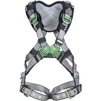Harnais de s&eacute;curit&eacute; complet V-Fit, Certifi&eacute;e CSA, Classe AEP, Standard, Cap. 400 lb Nassau Supply