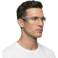 Lunettes de s&eacute;curit&eacute; gris/vert Adapt Lite, Lentille Transparent, Antibu&eacute;e/Anti-&eacute;gratignures, ANSI Z87+/R&eacute;pond ou surpasse la norme CSA Z94.3 Nassau Supply