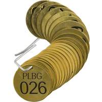 Numbered "PLPG" Valve Tags, # 026-050, Brass, 1.5" dia Nassau Supply