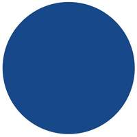 Étiquettes rondes inscriptibles, Cercle, 1,5" lo x 1,5" la, Bleu SY630 | Nassau Supply