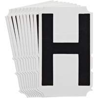 Quick-Align<sup>®</sup>Individual Gothic Number and Letter Labels, H, 4" H, Black SZ996 | Nassau Supply
