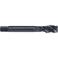 45° Spiral Flute Tap, High Speed Cobalt, 7/8"-9 Thread, 4-11/16" L Nassau Supply