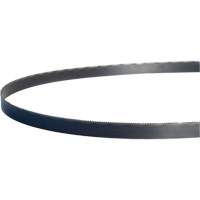 Lames de scies à rubans