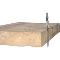 Lame de scie alternative pour la coupe du bois, Acier &agrave; haute teneur en carbone, Tige en T, 4" lo, 10 dents par pouce Nassau Supply