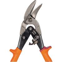Compound Action Snips Nassau Supply
