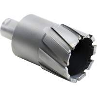 Outil de coupe annulaire, Diam&egrave;tre de 27,5 mm, Carbure, Profondeur de la coupe de 4" Nassau Supply