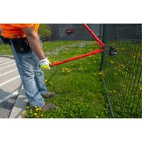 Coupe-Boulons, 14" l, Coupe centrale Nassau Supply