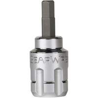 Pass-Thru SAE/Metric Bit Socket Set, Hex/Phillips/Slot/Torx&reg;, 1/4"/3/8" Drive, 39 Pcs Nassau Supply