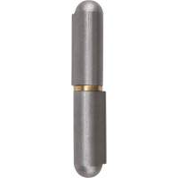 Weld-On Hinge, 0.453" Dia. x 2.756" L, Mild Steel w/Fixed Steel Pin TTV435 | Nassau Supply