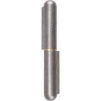 Weld-On Hinge, 0.787" Dia. x 5.906" L, Mild Steel w/Fixed Steel Pin TTV442 | Nassau Supply