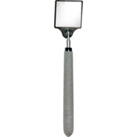 Miroir d'inspection en acrylique, Carr&eacute;e, 2" lo x 2" la, T&eacute;lescopique Nassau Supply