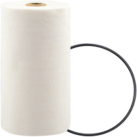 P7247 Spin-On Coolant Filter with BTE Formula Nassau Supply