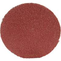 Roloc Disc 361F, 1-1/2" Dia., P100 Grit, Aluminum Oxide Nassau Supply