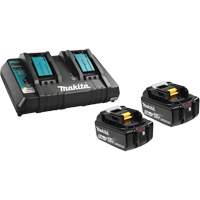 Ensemble de batterie au lithium-ion & chargeur &agrave; double port, 18 V, Lithium-ion Nassau Supply