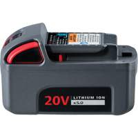 Pile haute capacit&eacute; IQV20, Lithium-ion, 20 V, 5 Ah Nassau Supply