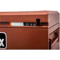 Armoire Site-Vault, 30" x 20" x 19-3/4", Acier, Orange Nassau Supply