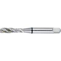 Taraud BT super haute performance &agrave; cannelure spiral&eacute;e DRILLCO, Acier rapide, Filet de 4-40, 1-7/8" l Nassau Supply