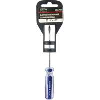 Tournevis &agrave; fente bleu transparent avec bandes , Tige de 1/8", Ronde, Prise en Plastique Nassau Supply