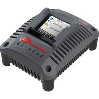 IQV20 Compact Battery Charger, 20 V, Lithium-Ion Nassau Supply