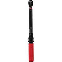Cl&eacute; dynamom&eacute;trique, &agrave; cliquer, Entraînement 3/8" carr&eacute;, 20 - 100 lb-po/27,1 - 135,6 Nm Nassau Supply
