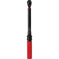 Cl&eacute; dynamom&eacute;trique, &agrave; cliquer, Entraînement 3/8" carr&eacute;, 20 - 100 lb-po/27,1 - 135,6 Nm Nassau Supply