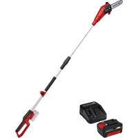 Cordless Pole Chain Saw with 4Ah Battery & Charger Starter Kit Nassau Supply