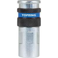 QUIKSILVER 2 Industrial Quick Coupler, Zinc-Plated Steel, 1/4", Female NPT, 362 PSI Nassau Supply