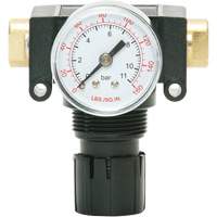MODULAIR 200 Acetal Piston Regulator, 1/4" NPT, 150 PSI Max. PSI, In Line/Modular Nassau Supply