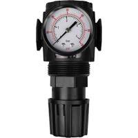MODULAIR 300 Compressed Air Regulator, 1/2" NPT, 300 psi Max. PSI, In Line/Modular Nassau Supply