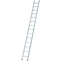 Industrial Heavy-Duty Extension/Straight Ladders, 8', Aluminum, 300 lbs., CSA Grade 1A VC273 | Nassau Supply