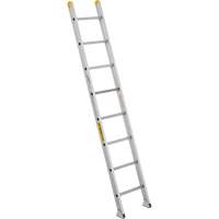 Industrial Heavy-Duty Extension/Straight Ladders, 10', Aluminum, 300 lbs., CSA Grade 1A VC274 | Nassau Supply