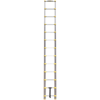 Telescopic Ladder, 3' - 12', Aluminum, 250 lbs. Capacity, Type 1 VC441 | Nassau Supply