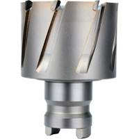 Fraise avec tenon &agrave; changement rapide Drive Hawg, Diam&egrave;tre de 2", Acier, Profondeur de la coupe de 1" Nassau Supply